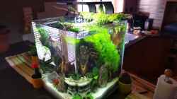 Video Dennerle 30 Liter Nano von mcfly (pVwrjpFilaI)