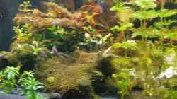 Video Fische von Tabu (q3R8uqXHyZQ)