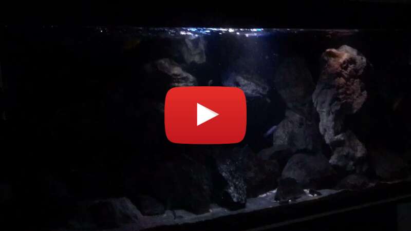 Video C95GCMffdus abspielen Video C95GCMffdus abspielen