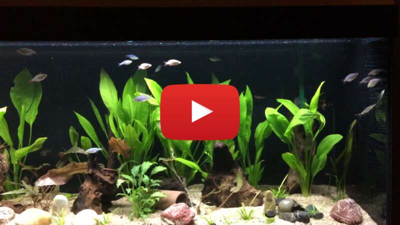 Video I4U52qzXYqY abspielen Video I4U52qzXYqY abspielen