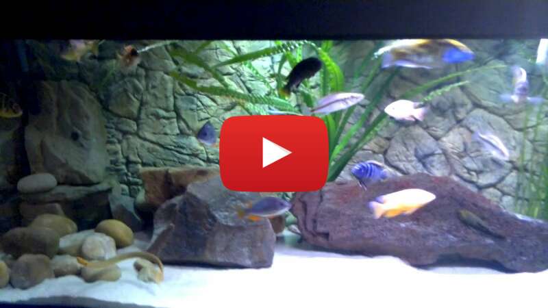 Video R91798BuyOE abspielen Video R91798BuyOE abspielen