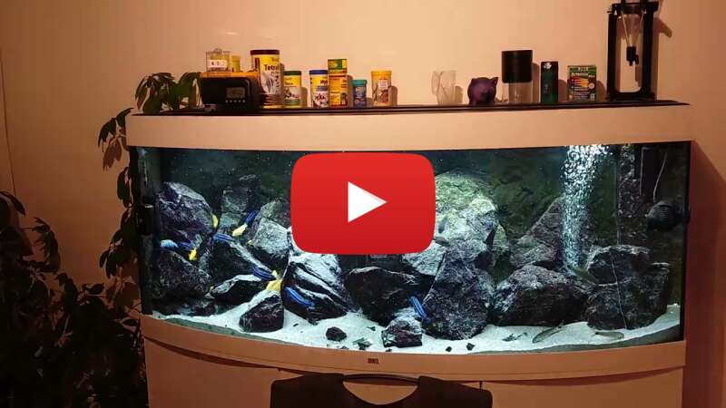 Video VX2MXDh4Bw0 abspielen Video VX2MXDh4Bw0 abspielen