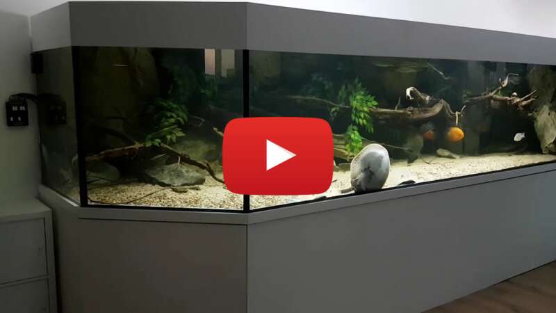 Video XQSv5a2UdAk abspielen Video XQSv5a2UdAk abspielen