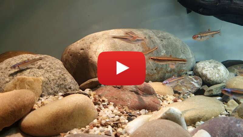 Video YW5tRSOIO-A abspielen Video YW5tRSOIO-A abspielen