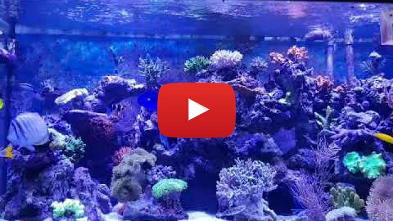 Video eXPcuR7jwSs abspielen Video eXPcuR7jwSs abspielen