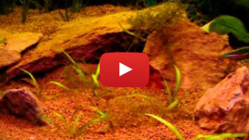 Video hCpmfHN3YdE abspielen Video hCpmfHN3YdE abspielen