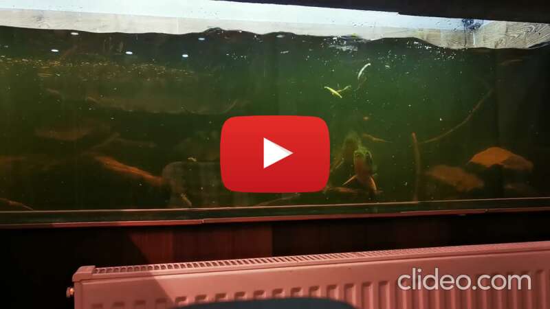 Video tUtz3_HmVE8 abspielen Video tUtz3_HmVE8 abspielen