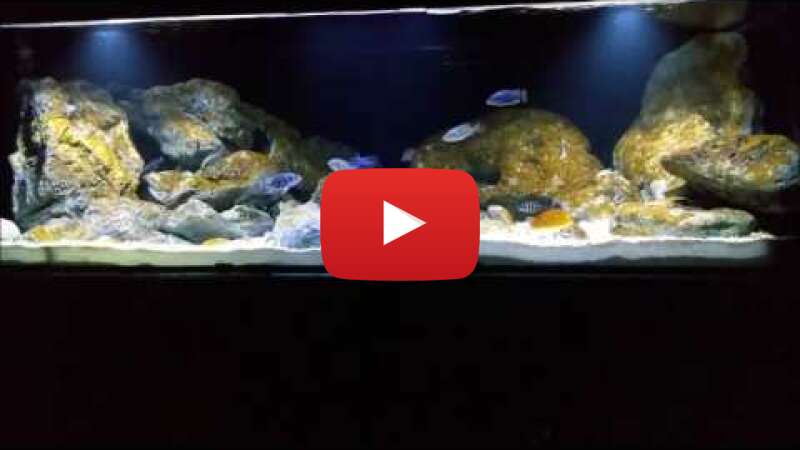Video wgF6AH3eMfM abspielen Video wgF6AH3eMfM abspielen